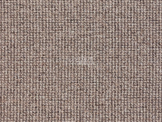 Ковролин Balta Brazil 860 фото 1 | FLOORDEALER